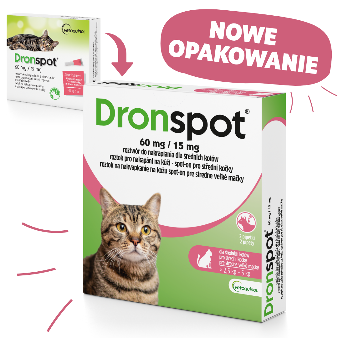 dronspot