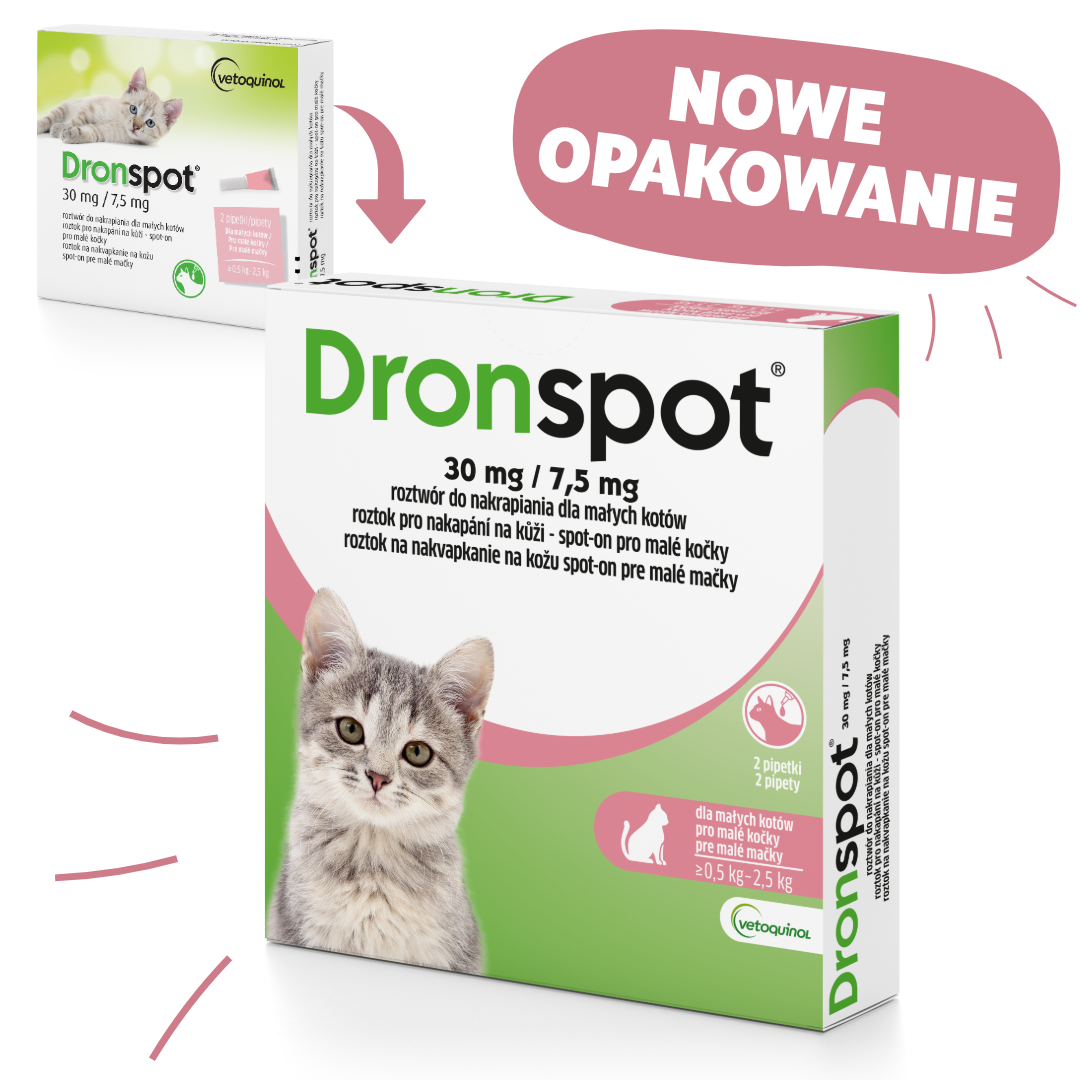 dronspot