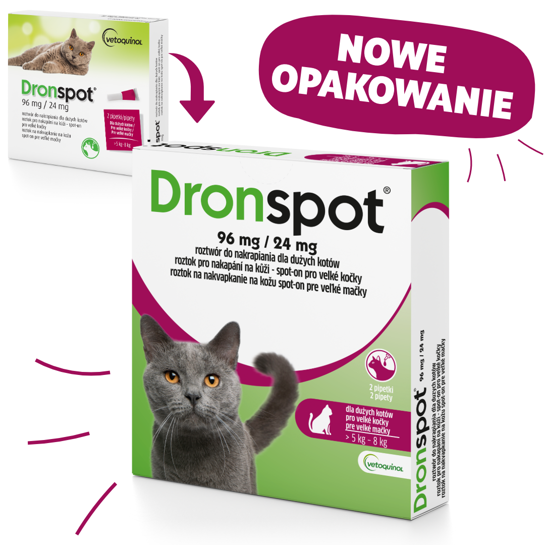 dronspot